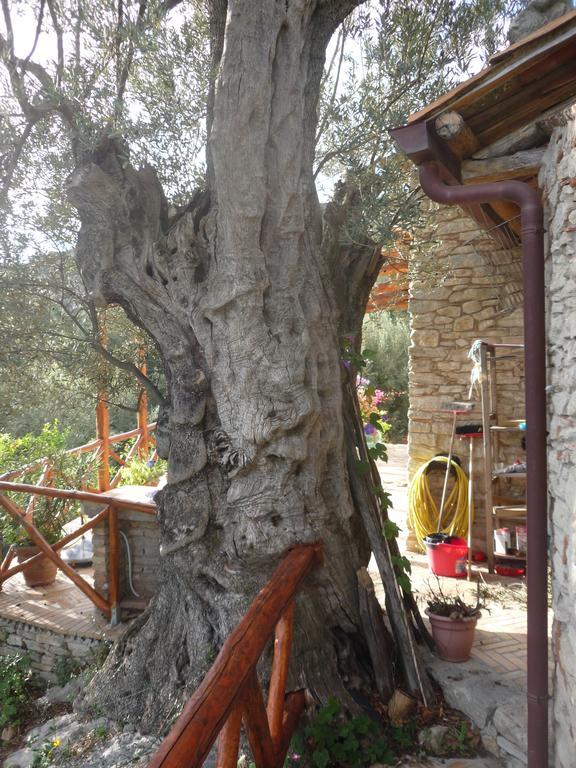 Bed and Breakfast Rocca Del Vento San Pantaleone Esterno foto
