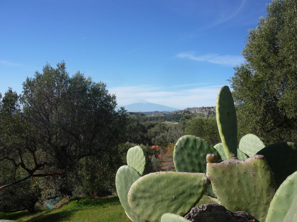 Bed and Breakfast Rocca Del Vento San Pantaleone Esterno foto