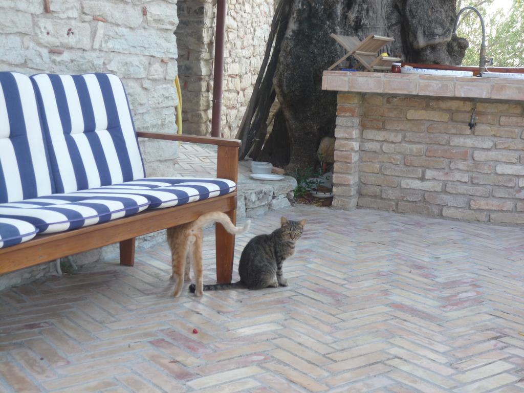 Bed and Breakfast Rocca Del Vento San Pantaleone Esterno foto
